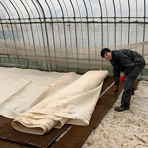 水菜土農園新米 令和5年産 秋田県産 あきたこまち 5kg 古代米お試し袋付き