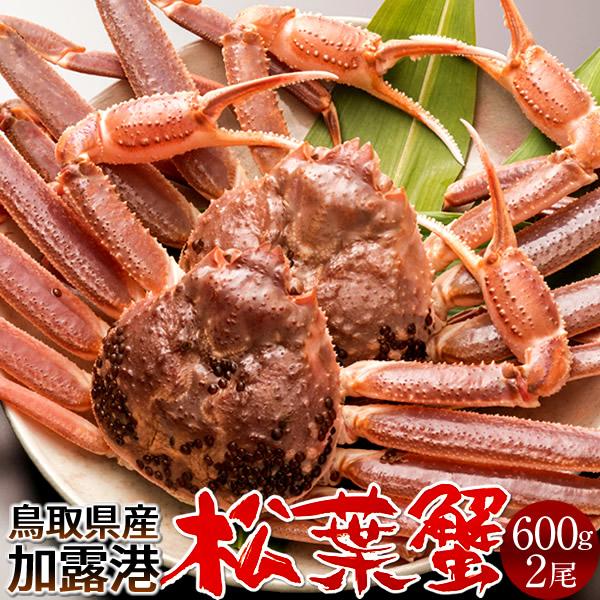 松葉ガニ タグ付き 松葉蟹［大］600g×2尾 活まつばがに 生きたまま 新物 鳥取県産 生 マツバガニ 日本海ズワイガニ［お歳暮 2023 ギフト 御歳暮］