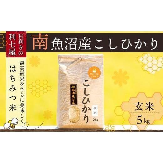 ふるさと納税 新潟県 南魚沼市 南魚沼産コシヒカリ『はちみつ米』玄米5kg×全12回