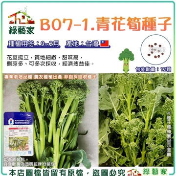 【綠藝家】B07-1.青花筍種子12顆(台灣產) 青花筍苗 花椰菜筍 綠花菜筍 高產 多側芽 可連續採收 花
