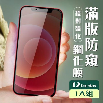 IPhone 12 PRO MAX 保護貼 全覆蓋黑框防窺玻璃鋼化膜