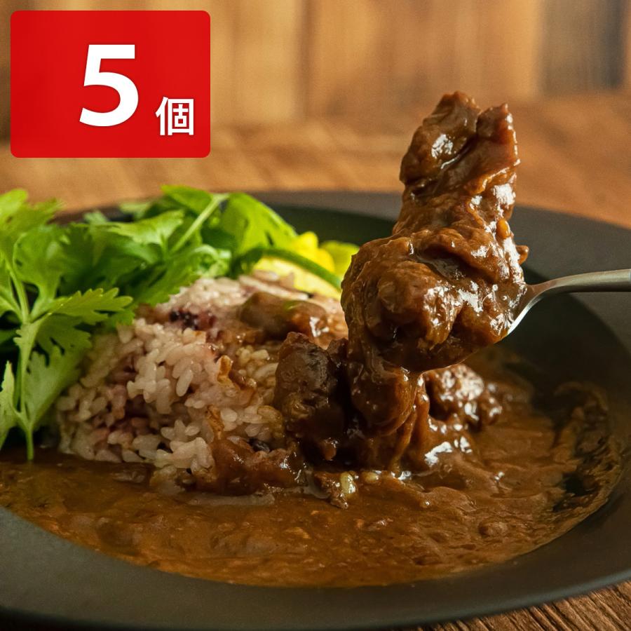 ALOHAスパイスカレー 5個セット レトルトカレー国産 ビーフカレー 鹿児島 ご当地カレー