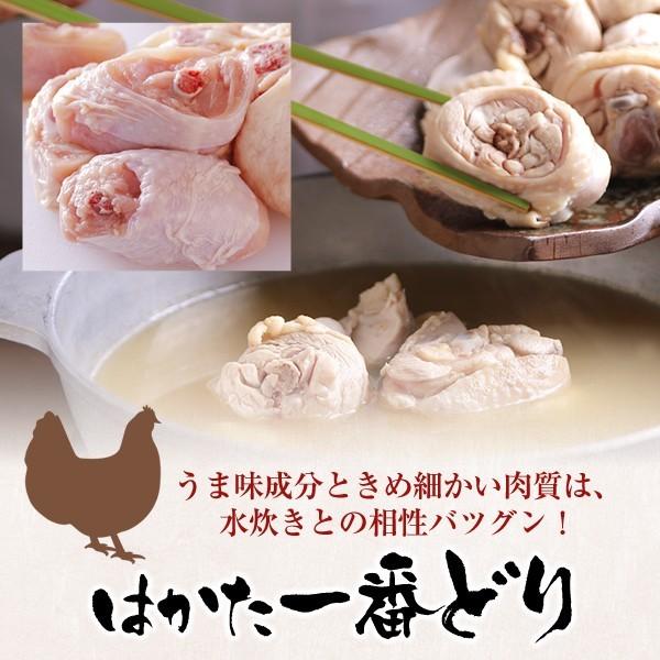 水炊き プレミアム 水炊きセット （3〜4人前） お取り寄せ鍋セット みず炊き 水たき 鍋セット 博多 料理 惣菜 肉 博多若杉