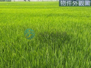 近嘉興鬧區大面寬美農地｜高雄市岡山區嘉興段