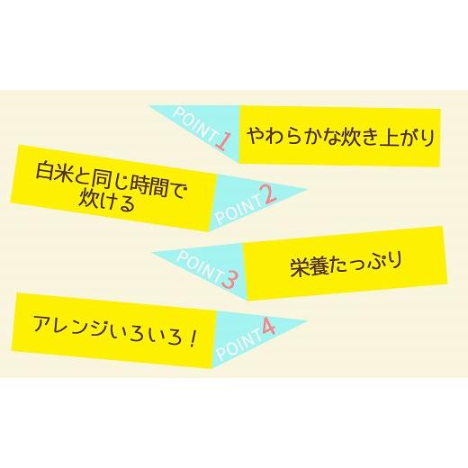 ふるさと納税 愛知県 碧南市 やわらかい玄米 900g ※12回定期便　安心安全なヤマトライス　H074-534