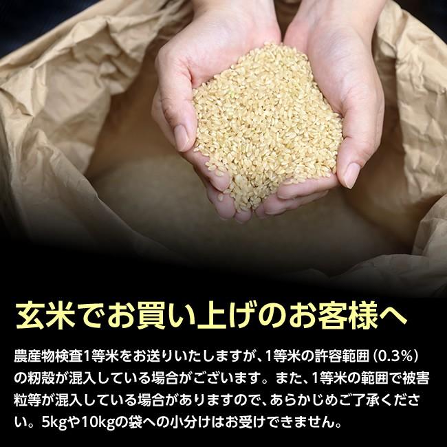 令和5年産 山形県産 ひとめぼれ 玄米30kg