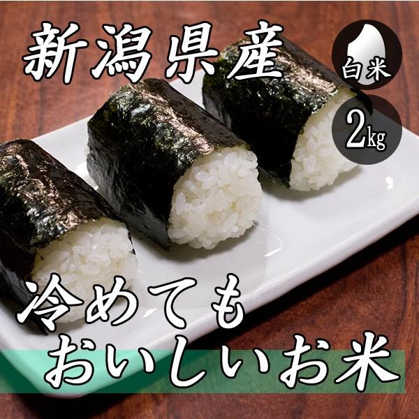 お米 2kg 新潟産 冷めてもおいしいお米 2kg×1袋 令和5年産 米 白米