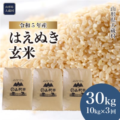 令和5年産 はえぬき30kg定期便(10kg×3回)　山形県大蔵村