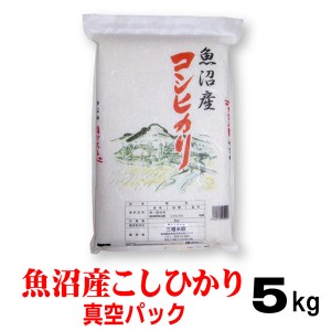 米 令和5年産 魚沼産コシヒカリ 5kg 北海道～九州は送料無料（沖縄2,000円）