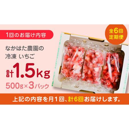 ふるさと納税  熊本県産 冷凍イチゴ 計1.5kg 500g × 3P 熊本県産いちご 山都町産いちご 家庭用いちご フロ.. 熊本県山都町