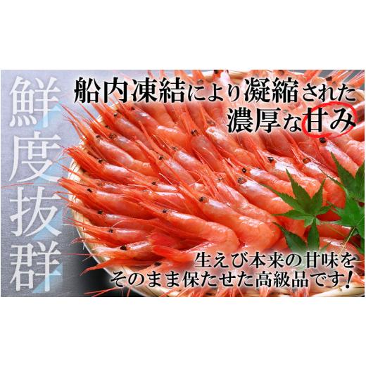 ふるさと納税 福井県 越前町 [e12-a022] 甘えび 中サイズ45尾（計500g）船内凍結 福井県沖から直送！鮮度と旨味に自信あり【福井漁連 ブランド品 甘エビ あま…