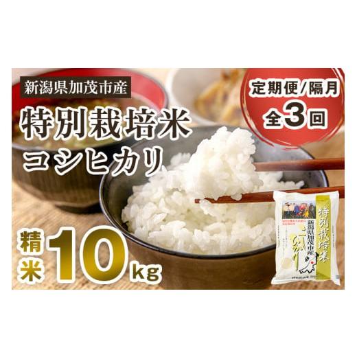 ふるさと納税 新潟県 加茂市 新潟県加茂市産 特別栽培米コシヒカリ 精米10kg（5kg×2）白米 従来品種コシヒカリ 加茂有機米生産組合