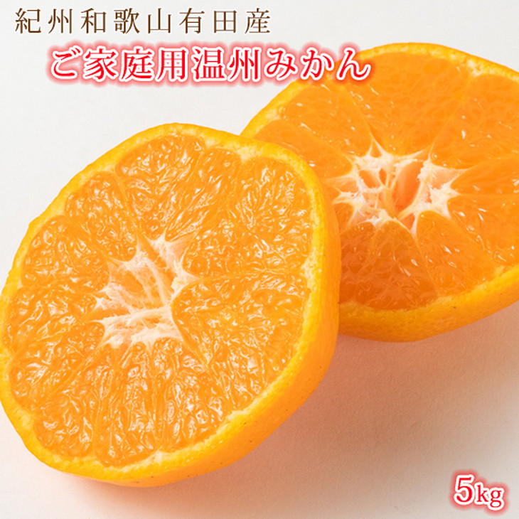 G7045_紀州 有田産 濃厚甘熟 温州みかん 5kg