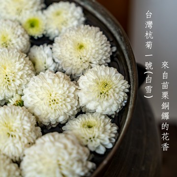 【便利沖泡】苗栗銅鑼菊花茶包：三角立體，輕鬆享受茶香！SGS檢驗合格【Delic好食嗑】