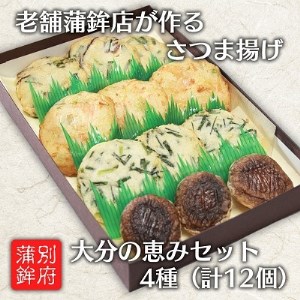 さつま揚げ(天ぷら) 大分の恵みセット 4種 12個入り