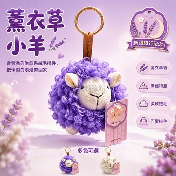 台灣出貨✨ 新疆特色薰衣草掛件 紫色羊毛絨玩偶 兒童伴手禮紀念品 可愛薰衣草小吊飾 新疆特產禮物