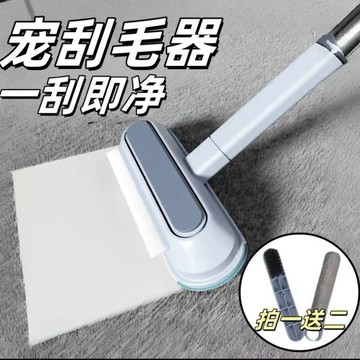 長柄除毛神器 可水洗黏毛器 貓毛清理器 除毛刷 長柄黏毛器 狗毛清理器 地毯沙發除毛刷 去除浮毛