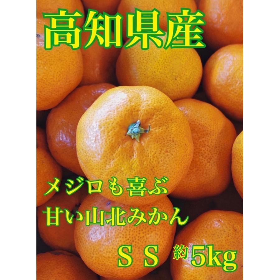 みかん 高知県産 人気完熟みかん 味凝縮SSサイズ 約５kg 等級秀品