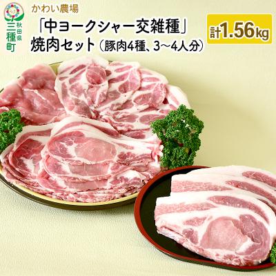 ふるさと納税 三種町 かわい農場 中ヨークシャー交雑種 焼肉セット 豚肉4種類 しっぽ豚|05_kwf-060101