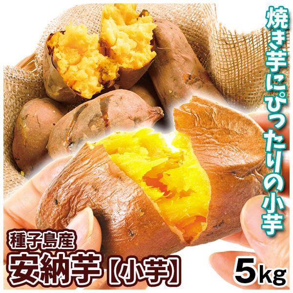 さつまいも 5kg 種子島産 安納芋 ご家庭用 送料無料 食品