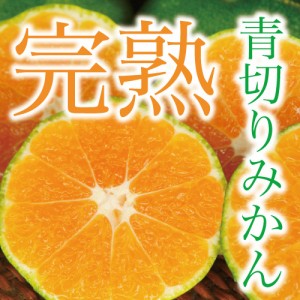 ☆送料無料☆  沖縄産 とっても甘い青切り温州みかん 約2kg  発送8月下～9月