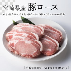 ※令和6年2月より順次発送※宮崎県産 豚肉３種 詰め合わせセット 1.4kg