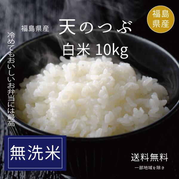 米 お米 米10kg 】新米 天のつぶ 白米10kg 5kgx2袋 令和5年産