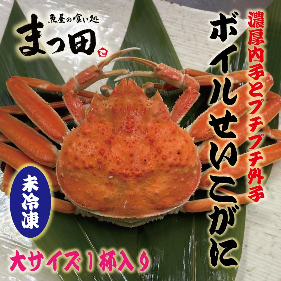 せいこがに　セイコガニ　香箱がに　日本海産　姿　大　未冷凍　１尾　かに　カニ　蟹