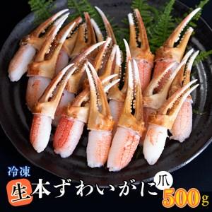 ふるさと納税 生冷 本ずわいがに 爪 500g×1 カジマ ずわい蟹 ズワイガニ ずわいがに かに カニ 蟹 かに爪 カニ爪 蟹爪 茨城県大洗町