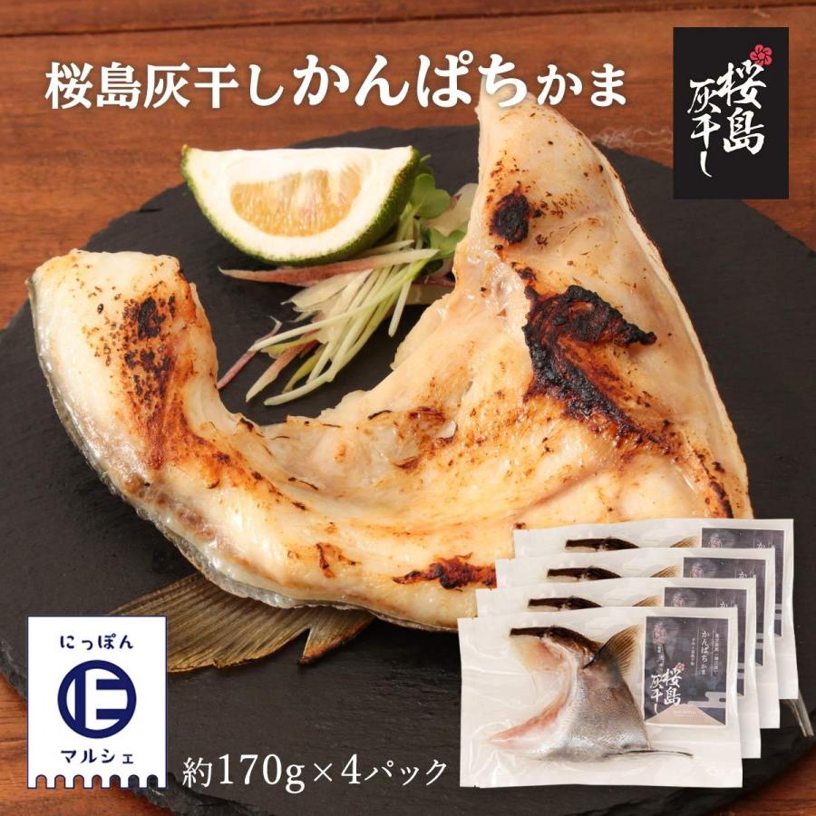 送料無料 [清泉社] 魚介類加工品 かんぱちかま 1個×4パックセット 干物 ひもの おつまみ 灰干し 桜島 鹿児島 手作り