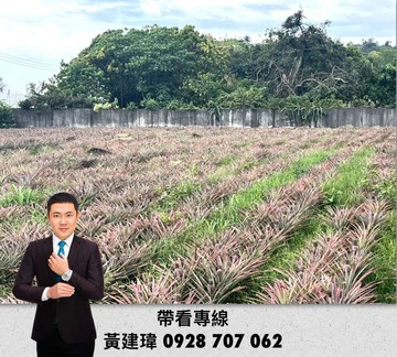 興田國小三角窗農地｜高雄市大樹區興田段