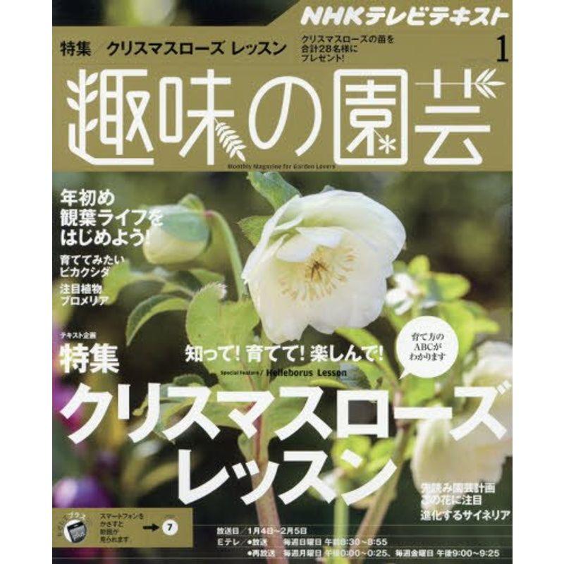 NHKテキスト 趣味の園芸 2016年 01 月号 雑誌