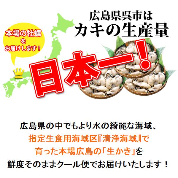 広島牡蠣 生食用 殻付き30個 K13タイプ 産地直送 お歳暮