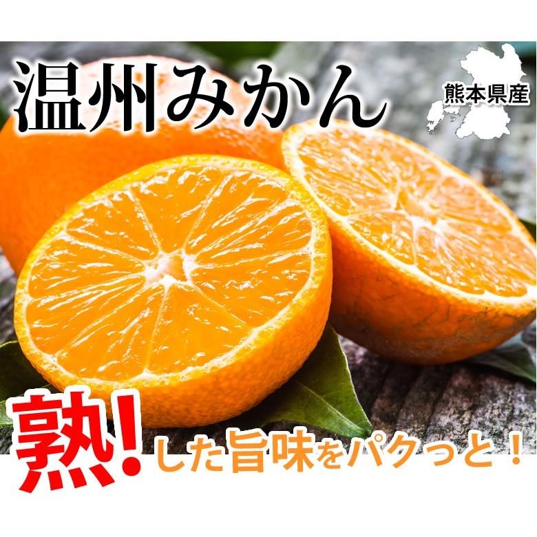 みかん 10kg 送料無料 訳あり 温州みかん 送料無料 S〜3L 熊本県産 熊本みかん 訳ありみかん 蜜柑 ミカン