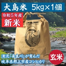 「令和5年産 玄米」大島米 5kg 岐阜県郡上市産コシヒカリ