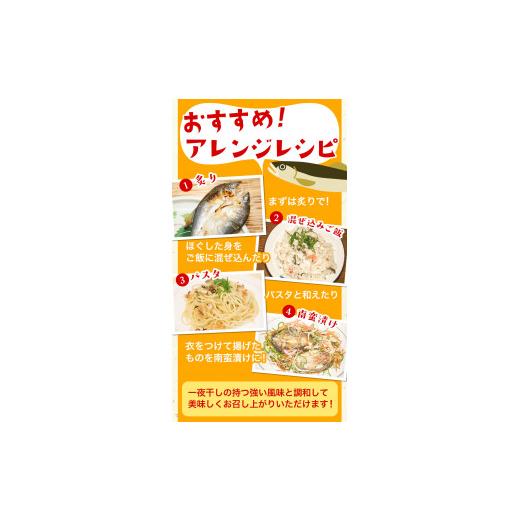 ふるさと納税 和歌山県 日高川町 「旨いはずです。」特選あゆ一夜干しセット(13枚入)　日高川漁業協同組合《90日以内に順次出荷(土日祝除く)》 和歌山県 日高…