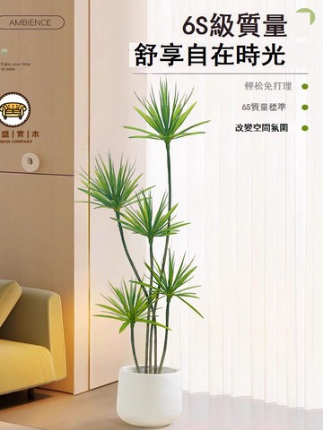 免運 附發票 公司貨 仿真植物 假樹 裝飾綠植 人造樹 千年木仿真綠植輕奢客廳裝飾盆栽植物仿生假花龍血樹室內落地擺件工廠現貨直銷 店長新品推薦 售後保障 全館折扣 5F1024