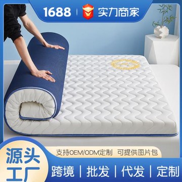 新款乳膠床墊軟墊家用臥室海綿墊學生宿舍單人床褥租房專用榻榻米