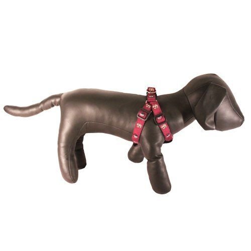 Fsu dog sale harness