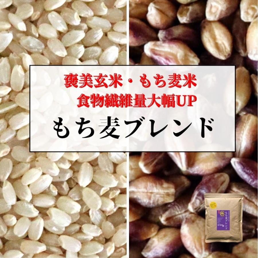 プチギフト 雑穀米 もち麦 国産 3kg (250gを12袋) 美味しい 玄米 サプリ サプリメント要らず お米 米 結婚式 個 女性 お弁当 農薬不使用 プチギフト