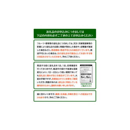 ふるさと納税 香川県 高松市 訳あり ご家庭用 さぬきひめいちご(約250g×8パック)