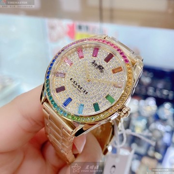 [星晴錶業]COACH手錶,36mm,CH00136糖豆錶面彩色錶殼金色精鋼錶帶款