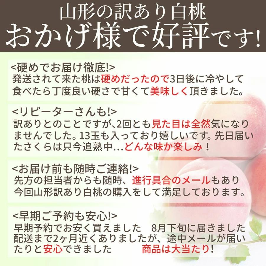  桃 訳あり 白桃 5kg 16〜22玉前後 山形県産 お徳用 ご家庭用 わけあり もも 同梱不可 品種お任せ 送料無料 クール便発送