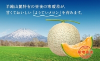 北海道 赤肉メロン 大玉 約2kg 2玉 メロン 赤肉 果物 フルーツ 甘い 完熟 スイーツ デザート 産直 国産 贈答品 お祝いギフト羊蹄山 JAようてい 送料無料 北海道 倶知安町