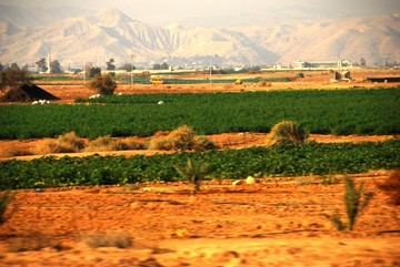 Abundant life豐盛。生命--無框畫