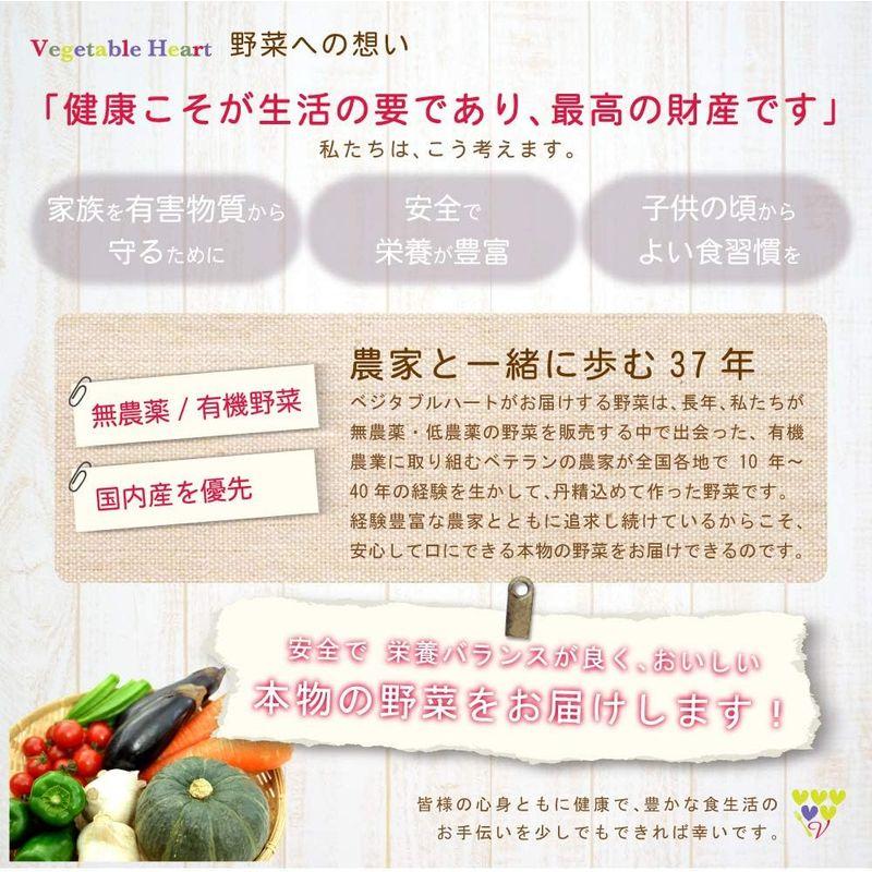 旬の野菜 13品目こだわり野菜セット 安心な無農薬・低農薬栽培の野菜 ギフト 贈り物 プレゼント お取り寄せ お中元 お歳暮