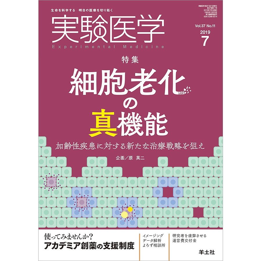 実験医学 2019年7月 Vol.37 No.11 細胞老化の真機能~加齢性疾患に対する新たな治療戦略を狙え