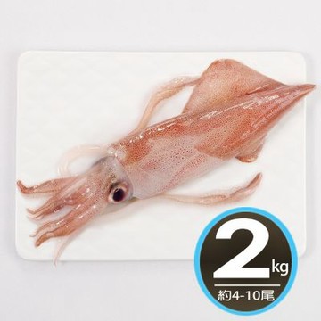 【華得水產】台灣現撈透抽2公斤(約4-10尾)