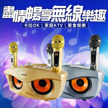 升級版 sd306 plus 貓頭鷹麥克風 家庭ktv 無線雙人麥克風藍牙音箱