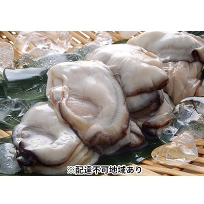 秀栄水産 瀬戸内の 牡蠣 (むき身 500g×2)[No.5735-0223]